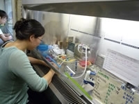生物資源科学:細胞培養