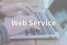 WebService